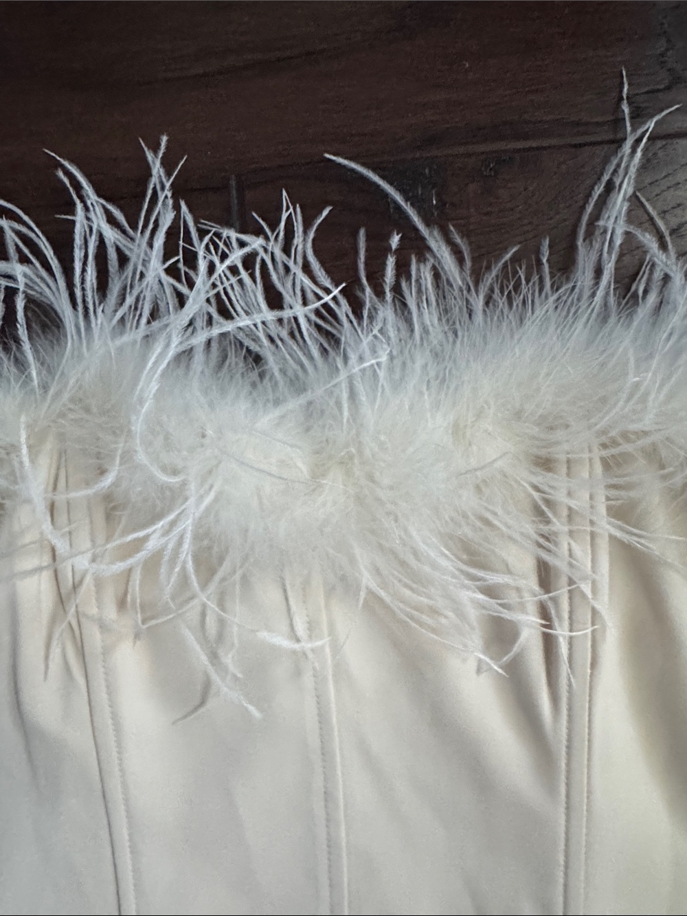 Feather Trim Strapless Bustier Top — Ivory - Picture 3 of 6